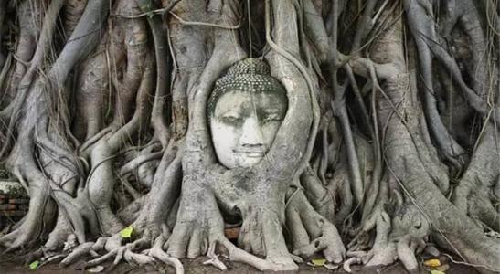 新马泰七日游 1650元！！多彩泰一地七日游，给你与众不同的旅途。