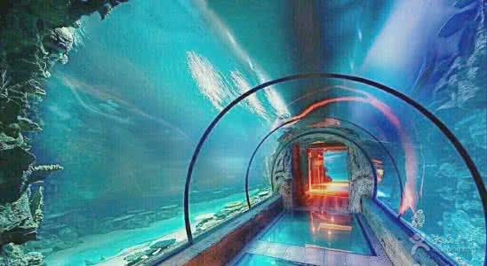 北京海洋馆 北京海洋馆 梦见海洋馆