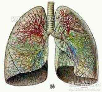 衣原体感染的临床表现 衣原体肺炎 它有哪些临床表现