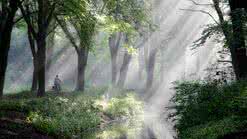 余秋雨 构思过度 生活不需要“构思过度”