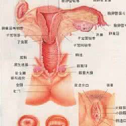 外阴瘙痒的危害是什么 外阴瘙痒的危害是什么 外阴痒的危害