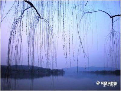 纳兰心事有谁知 今年冷落江南夜，心事有谁知？元朝  萨都剌《小阑干·去年人在凤凰池》