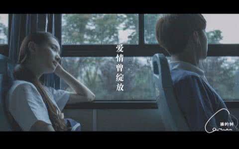 爱情曾绽放 未曾绽放的爱情