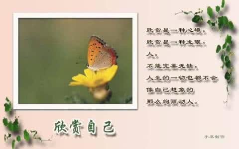 人生哲理 学会欣赏自己的人生哲理