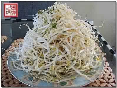 绿豆芽和什么炒好吃 绿豆芽和什么炒好吃 什么是绿豆芽你知道