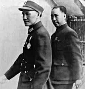 蒋介石和戴笠 民权先驱杨杏佛缘何得罪蒋介石遭戴笠派人暗杀