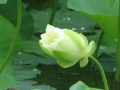 感悟人生为人处世智慧 处世大全.智慧人生。。。【言辞篇】