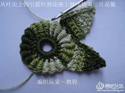 爱尔兰钩花视频教程 爱尔兰花教程----“情人花”