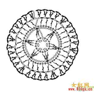 卫衣 连帽 男 韩版 我仿的韩版六角花带帽衣(有图解)
