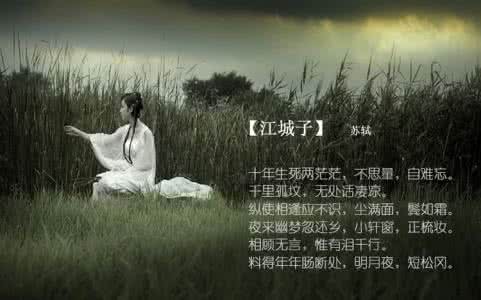 美得令人窒息的古诗词 美得让人窒息的古诗词_太阳雨