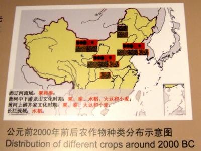 华夏文明的起源地 中国文明的起源