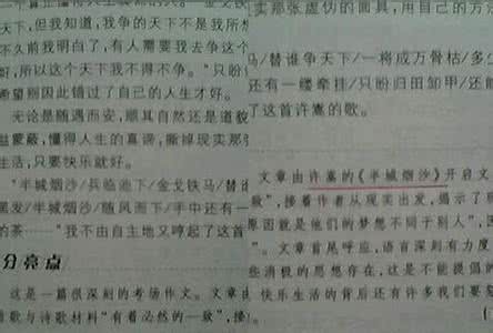 随风而逝 2005年四川高考优秀作文：烟随风逝，名随史流作文700字