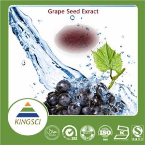 心肌细胞缺氧模型 原花青素通过内质网应对H9C2心肌细胞缺氧/复氧损伤的作用