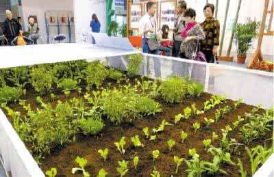 大学生常见心理障碍 农业院校女大学生就业心理障碍及对策