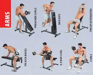 哑铃锻炼方法 哑铃锻炼方法 哑铃怎么玩