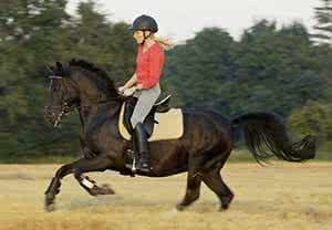 骑马注意事项 骑马注意事项 骑马应该注意什么？