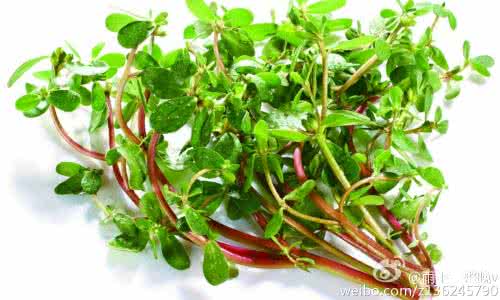 陨石真有治病疗效吗 马齿苋对便秘有疗效吗 马齿苋治病疗方