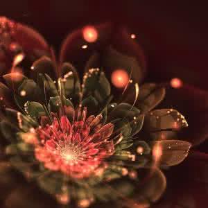 最震撼的月季花墙 震撼:花了数十万,竟然请了一堆阴牌