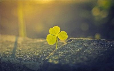 时光的背影如此悠悠 把爱的背影洒在时光中(精美散文)