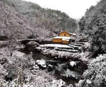 贾平凹散文集摘抄赏析 贾平凹的散文《冬 景》赏析