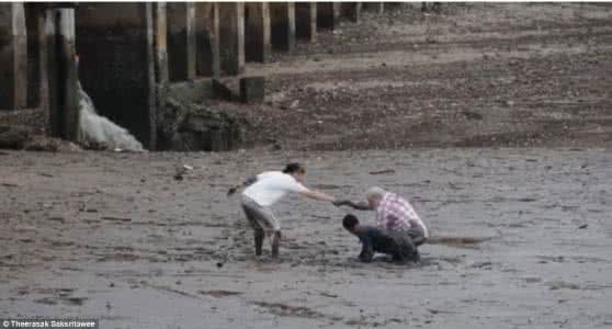 狗狗上辈子是你的什么 每只喜欢捡木棍的狗狗上辈子都是建筑工人！