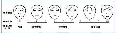 大学生心理压力与应对 创伤骨科护理人员心理压力分析及应对方式