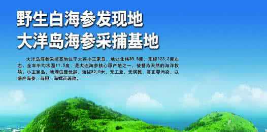 海参 醋 要想海参营养好切记不要加醋