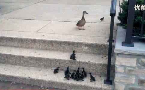 老房子卫生间高一台阶 小故事：高一个台阶看自己