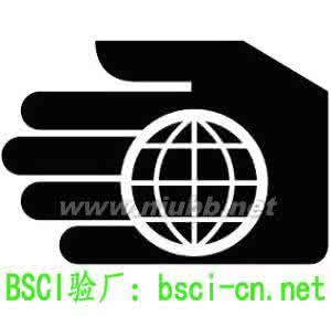 管理手册 BSCI管理手册:BSCI管理手册-BSCI管理手册_BSCI