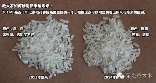 新米和陈米的区别 教你怎样辨别新米与陈米