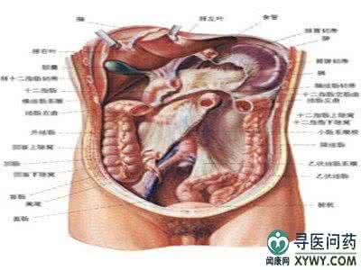 大肠癌早期症状是什么 大肠癌 它的临床表现是什么