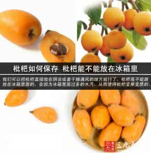新鲜枇杷怎么保存 夏季吃不完的新鲜枇如何保存？枇杷可以放在冰箱里吗？