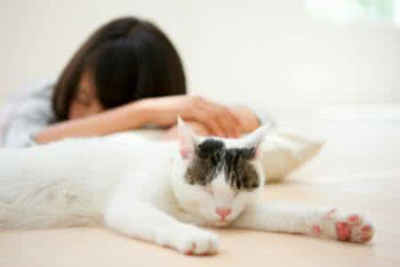 多猫 女性心理学：能多猫就多猫