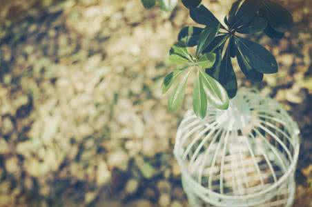 心境与心情 【简单的心境，才能拥有快乐的心情】