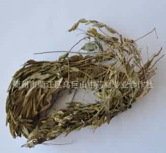 常用止咳化痰中草药 止咳化痰的中药 化痰止咳中草药