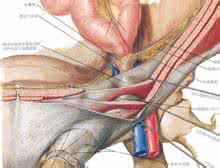 银屑病中西医结合治疗 腹股沟斜疝的治疗 中西医疗法各有千秋