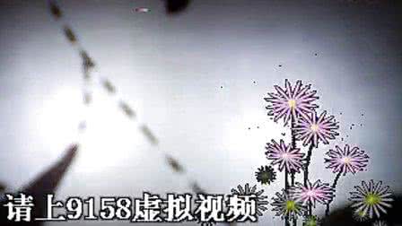 心碎是爱情最美的样子 心碎是爱情最美的样子 爱情花开花落花为谁,花荣花败花心碎