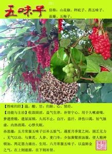 常用中草药300种图谱 【转载】中草药300种图谱