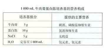 牛肉膏蛋白胨培养基 牛肉膏 下表为牛肉膏蛋白胨培养基的成分列表，据此完成问题：(1)蛋白胨在培养基中的作用是__________