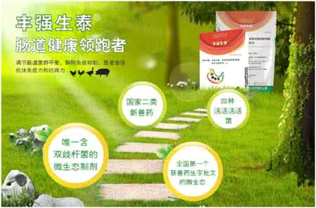 生态疾病 疾病生态