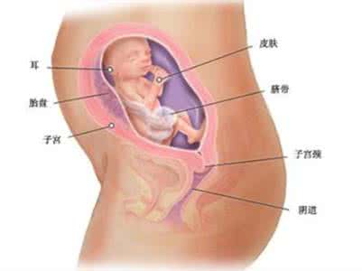 羊水指数重要还是深度 羊水深度是什么意思