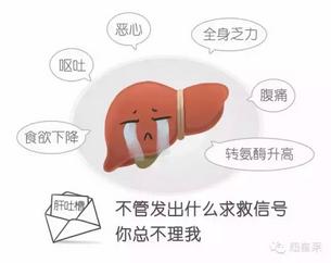 青少年迟睡迟起更健康 关爱肝脏：睡好更健康！