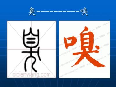 字族文 字族