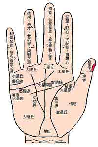 手相面相惊人揭秘 看看手相吧 手相全揭秘