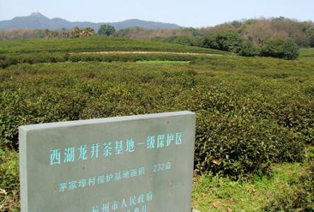 西湖龙井的产地 西湖龙井的产地 西湖龙井产地
