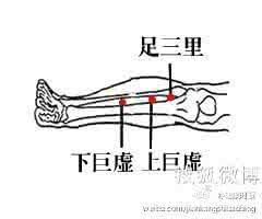 爱到飞蛾扑火是种堕落 堕扑损伤瘀血在内烦闷