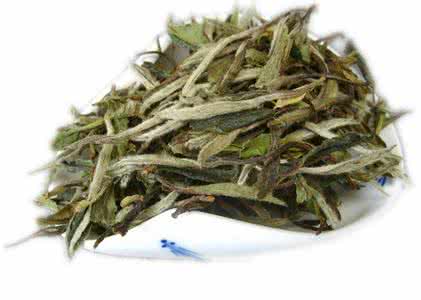 白牡丹茶的功效与作用 白牡丹茶的功效与作用 白牡丹茶的功效与作用有哪些