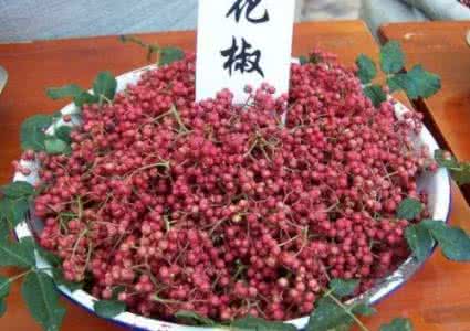 元朝长寿高手 这9种调料竟是长寿高手