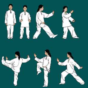 24式太极拳 动画演示 珍藏：24 式太极拳(动画演示)