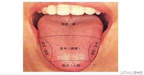 怎样从舌头看健康状况 【图说健康】简单观舌知健康状况 